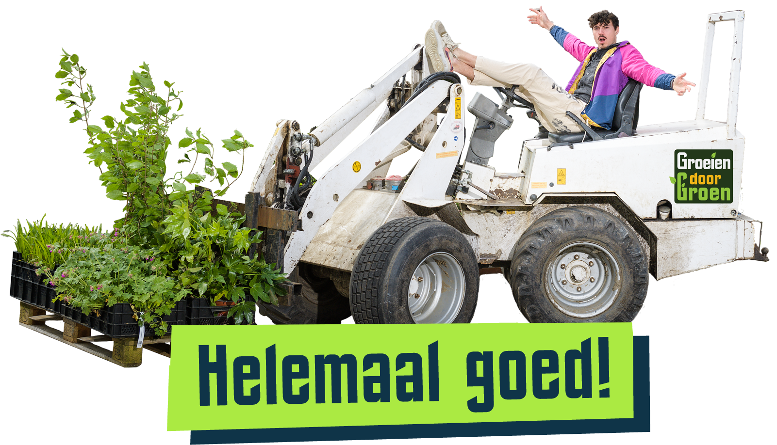 Goed
